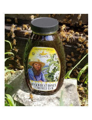 Raw Buckwheat Honey 1 Lb