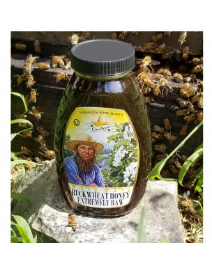 Raw Buckwheat Honey 1 Lb