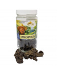 Bee Propolis Chunk Raw (40 gr.)