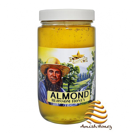 Almond Blossom Honey