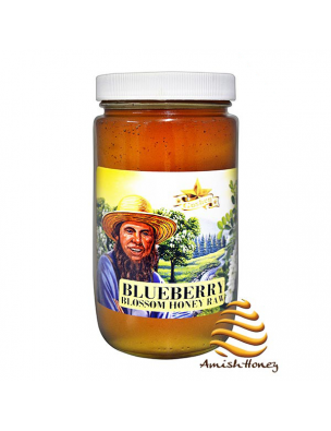 Blueberry Honey Raw
