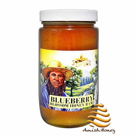 Blueberry Honey Raw