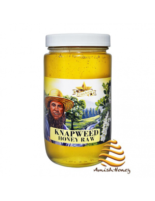 Knapweed Honey Raw