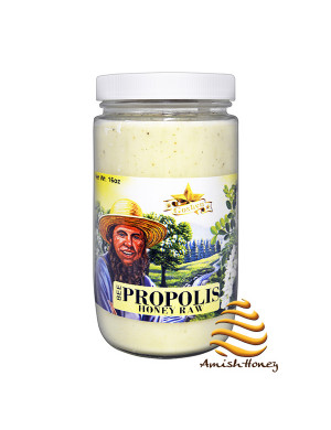 Bee Propolis Honey Raw (16 oz.)