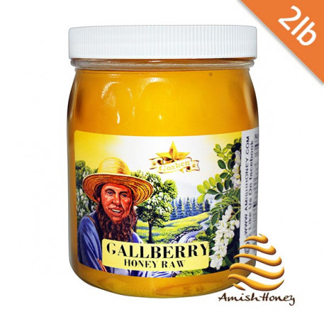Gallberry Honey Raw